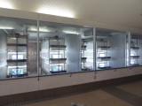 img0003.jpg