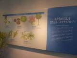 img0005.jpg