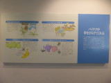 img0006.jpg