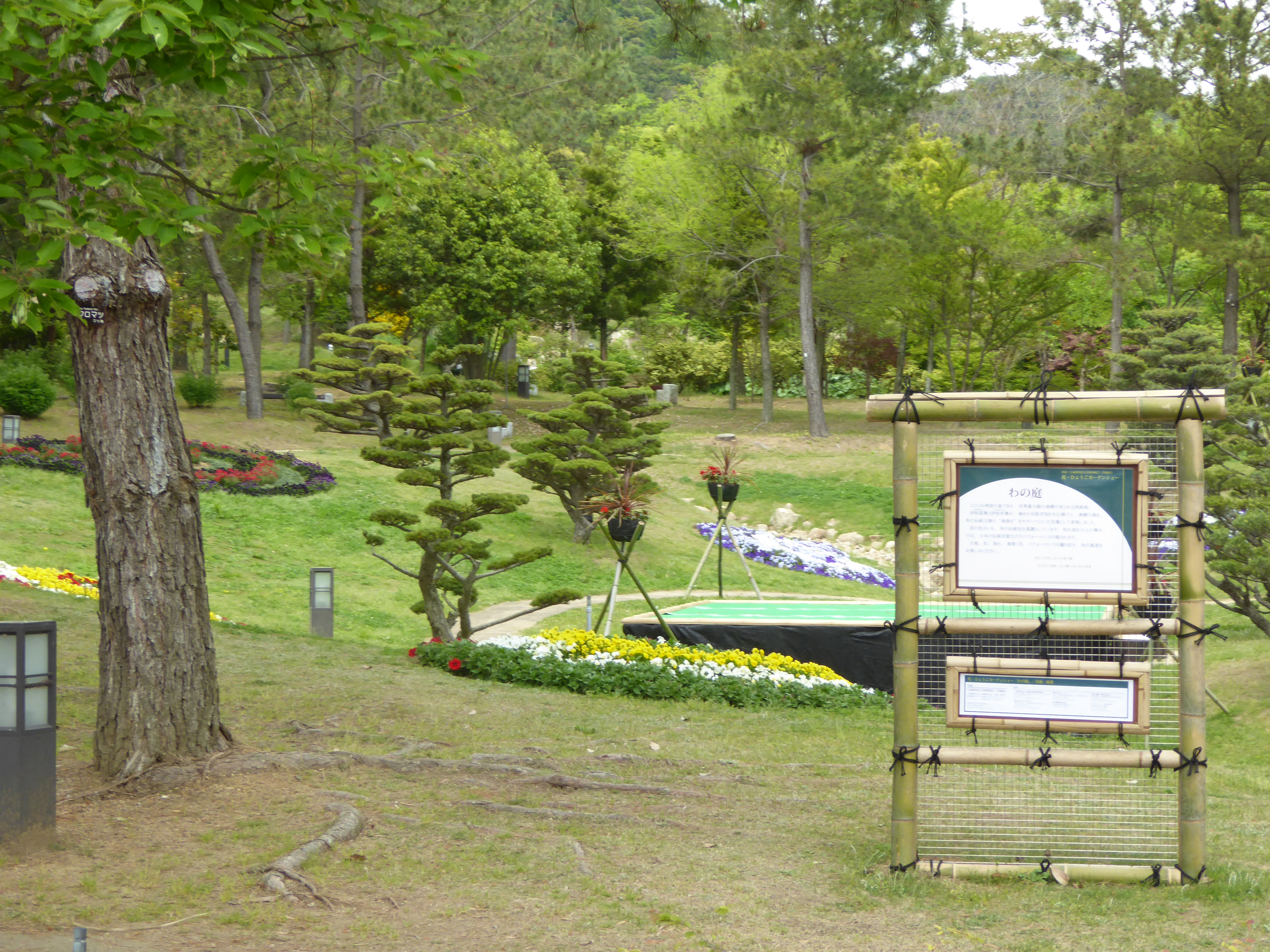 P1020927.JPG