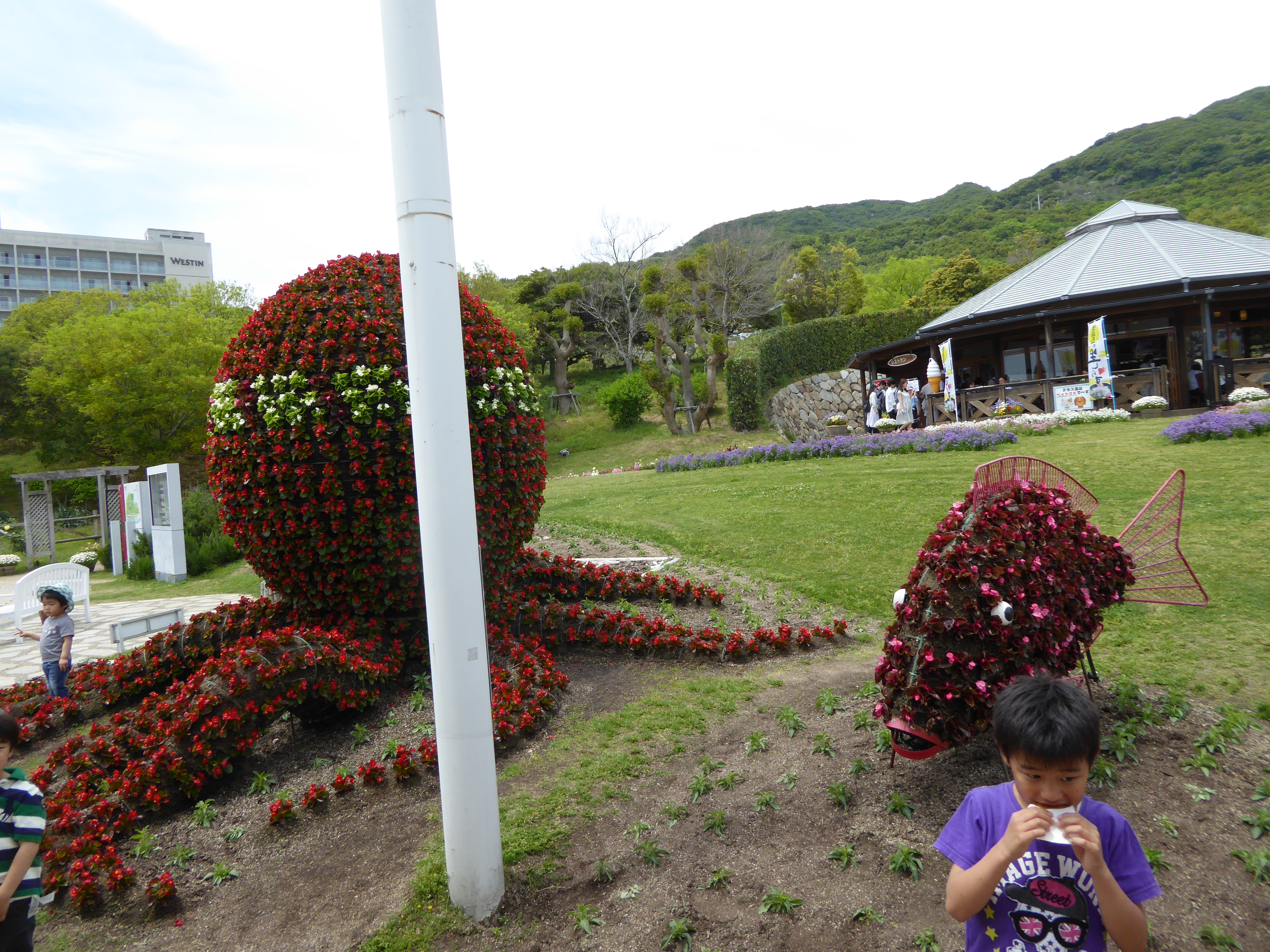 P1020930.JPG