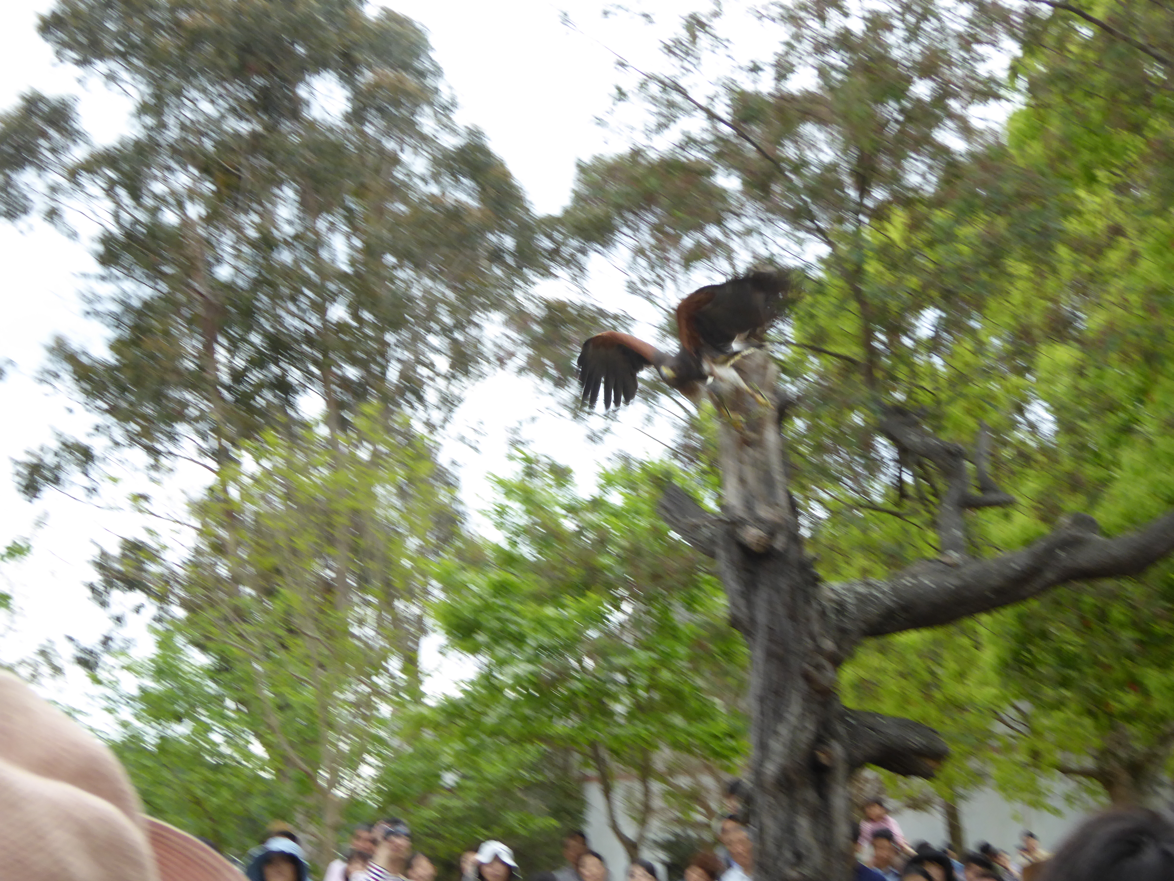 P1020934.JPG