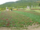 img0000.jpg