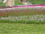 img0001.jpg