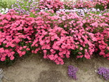 img0006.jpg