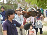 img0008.jpg