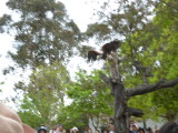 img0009.jpg