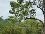 img0011.jpg
