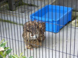 img0013.jpg