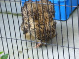 img0015.jpg