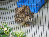 img0017.jpg