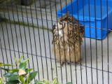 img0019.jpg