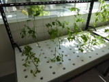 img0012.jpg