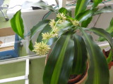 img0021.jpg