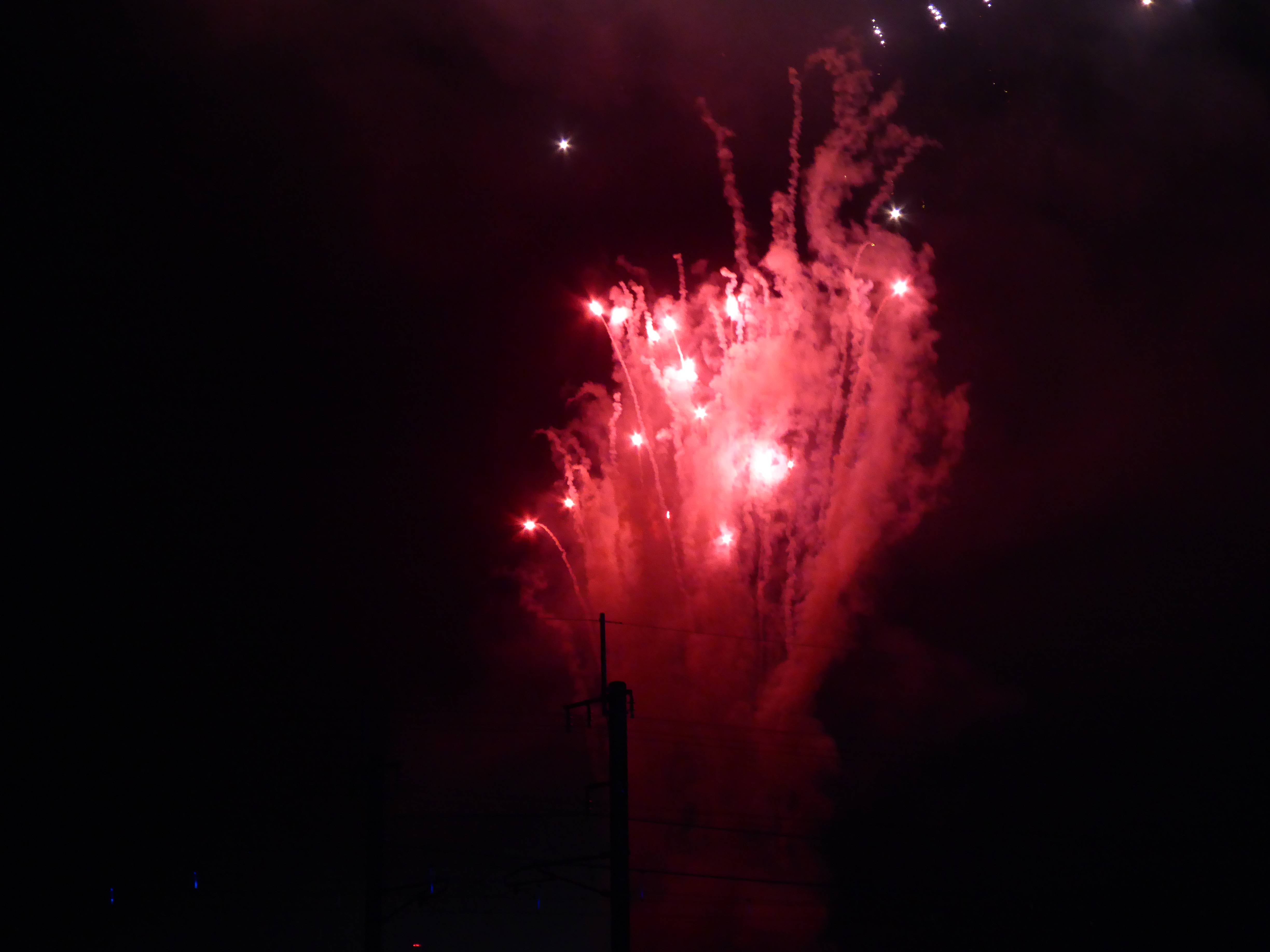 P1030410.JPG