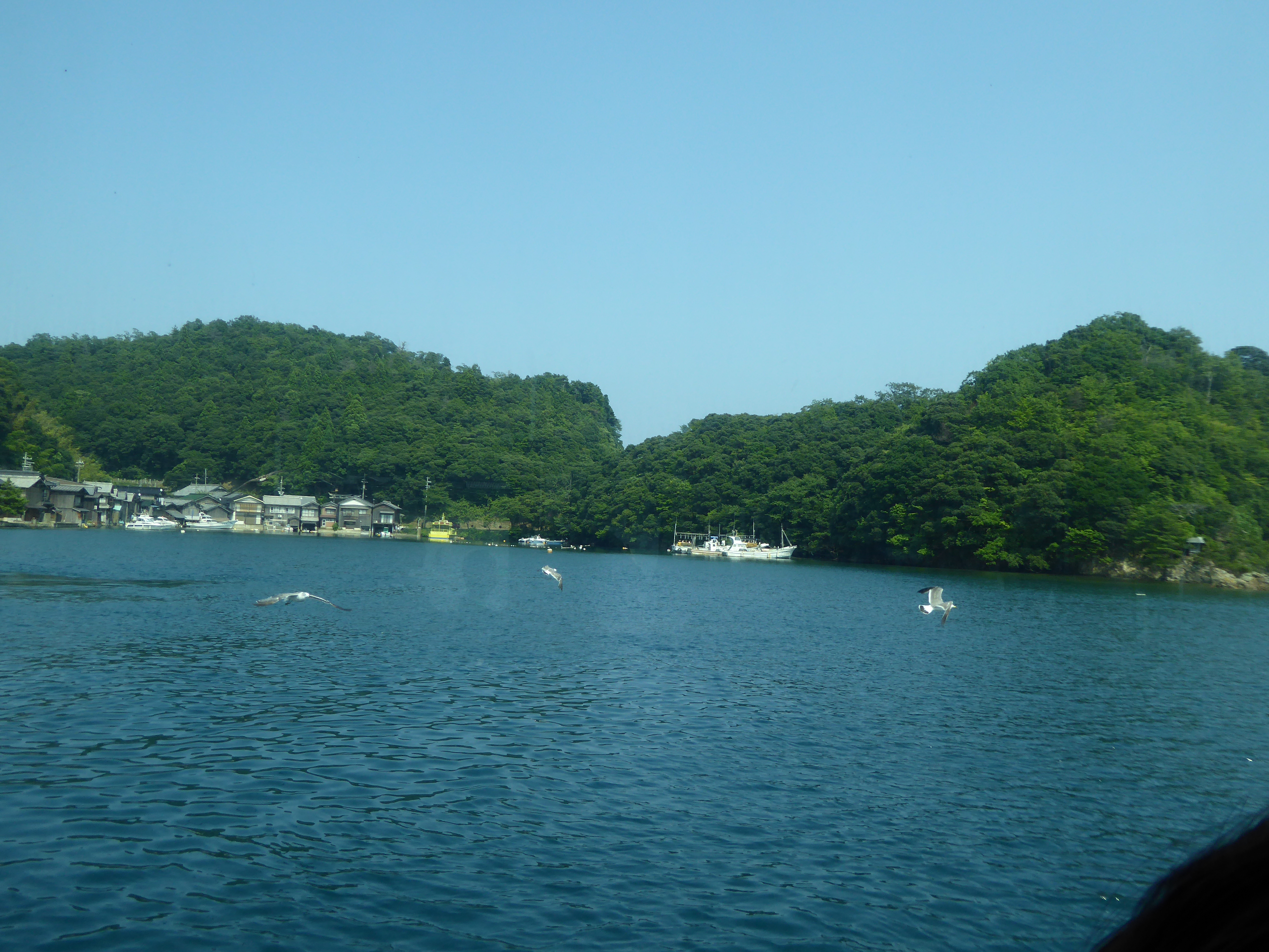 P1030470.JPG