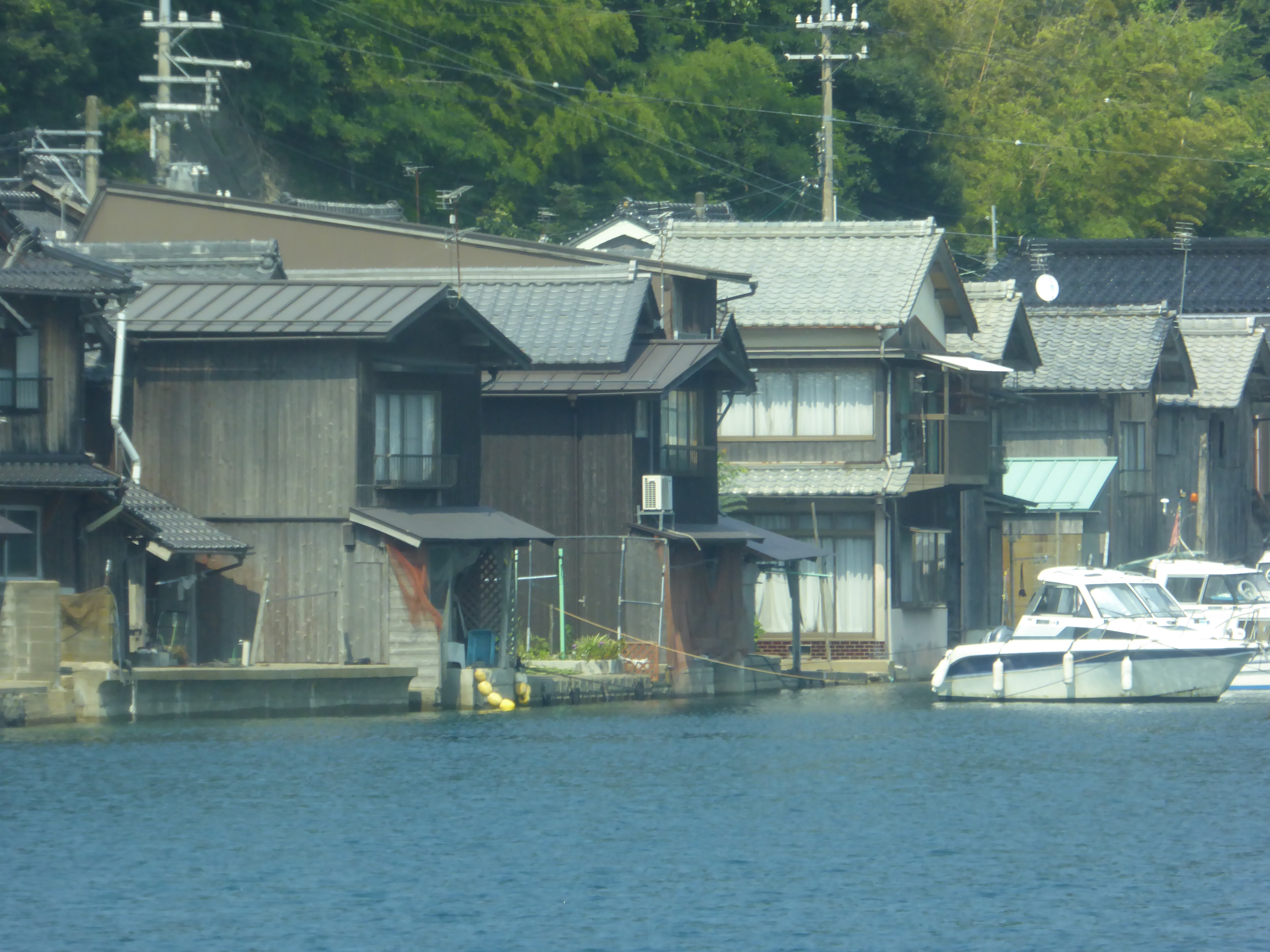 P1030471.JPG