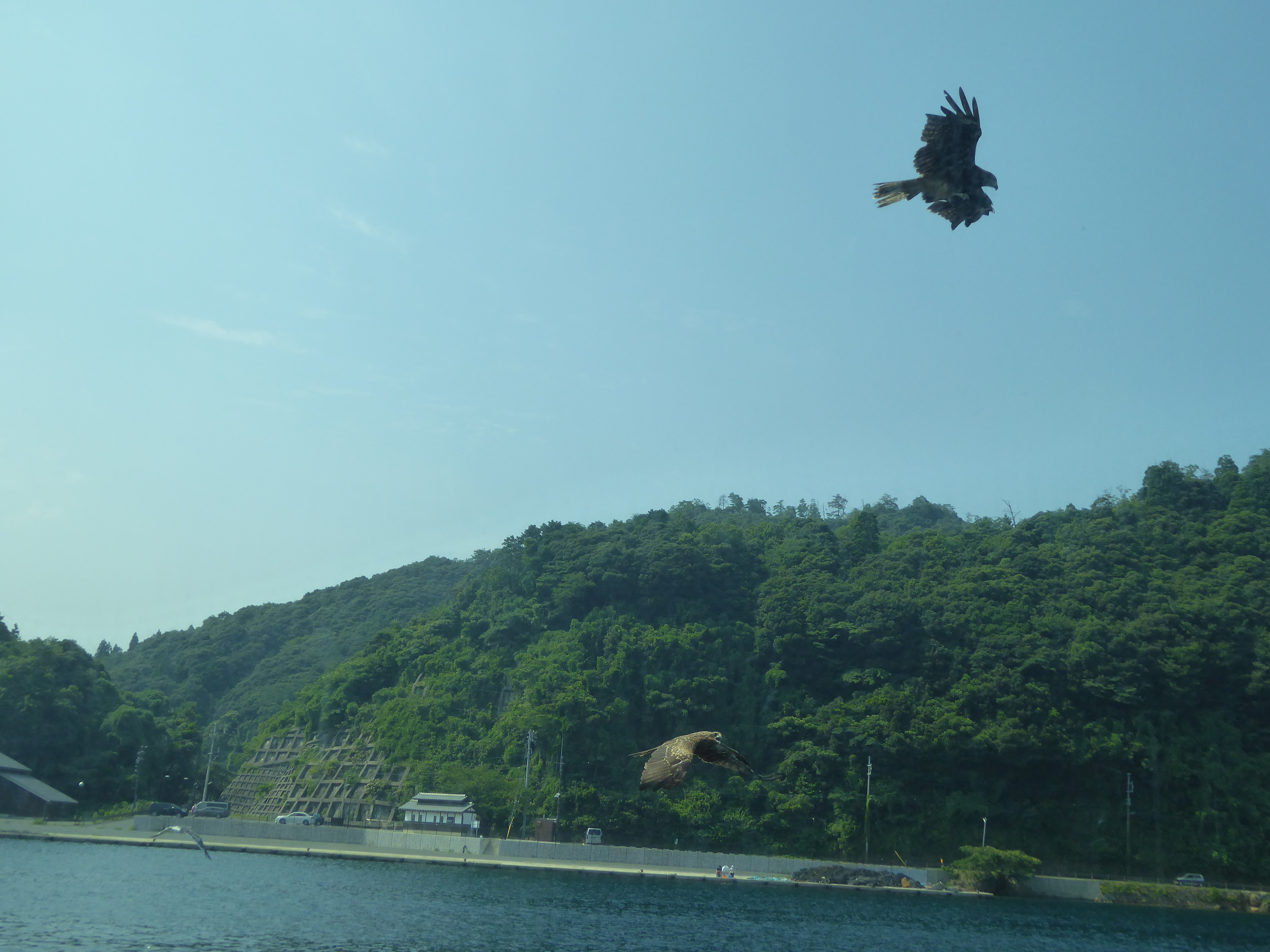 P1030477.JPG