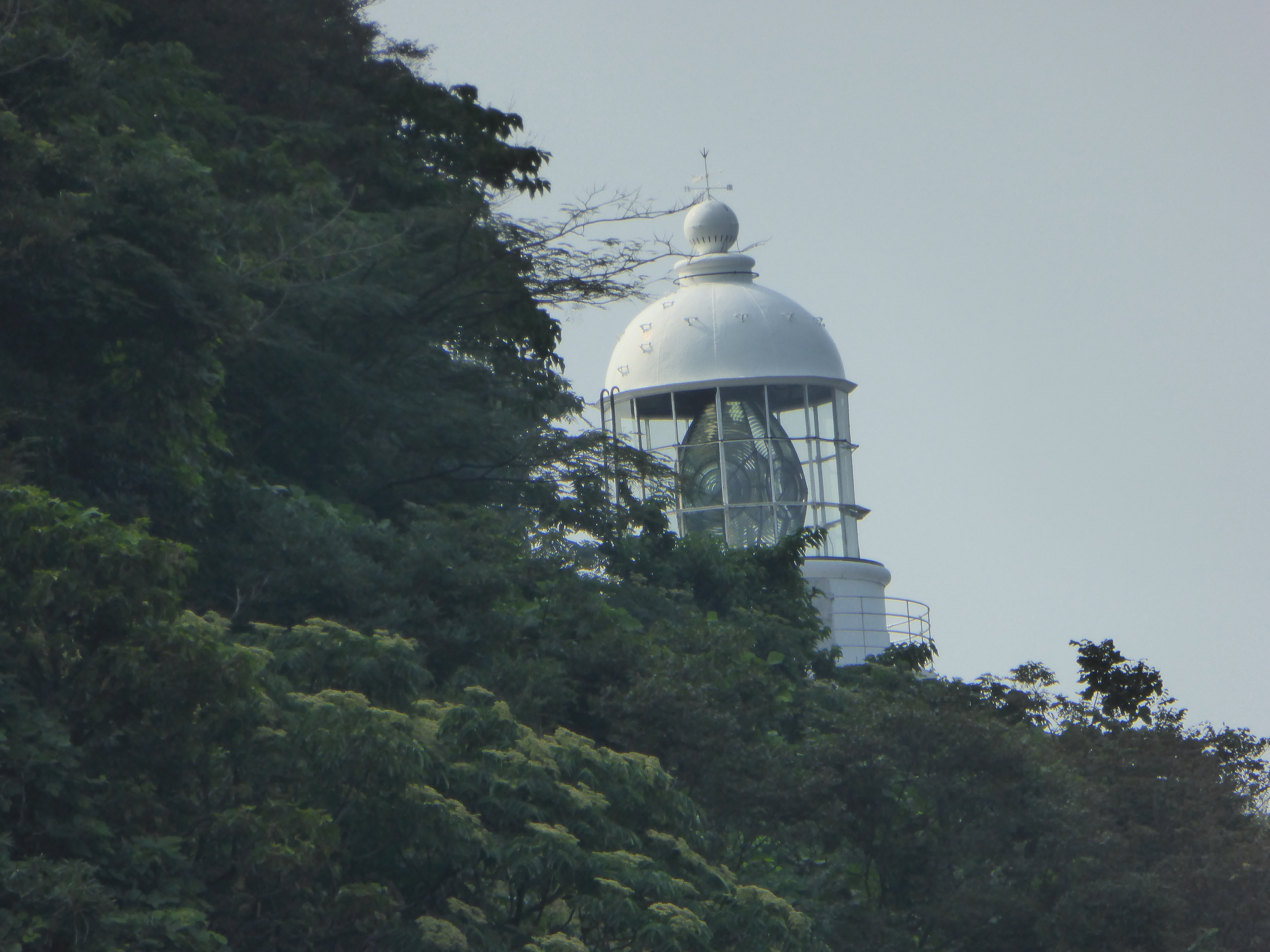 P1030491.JPG