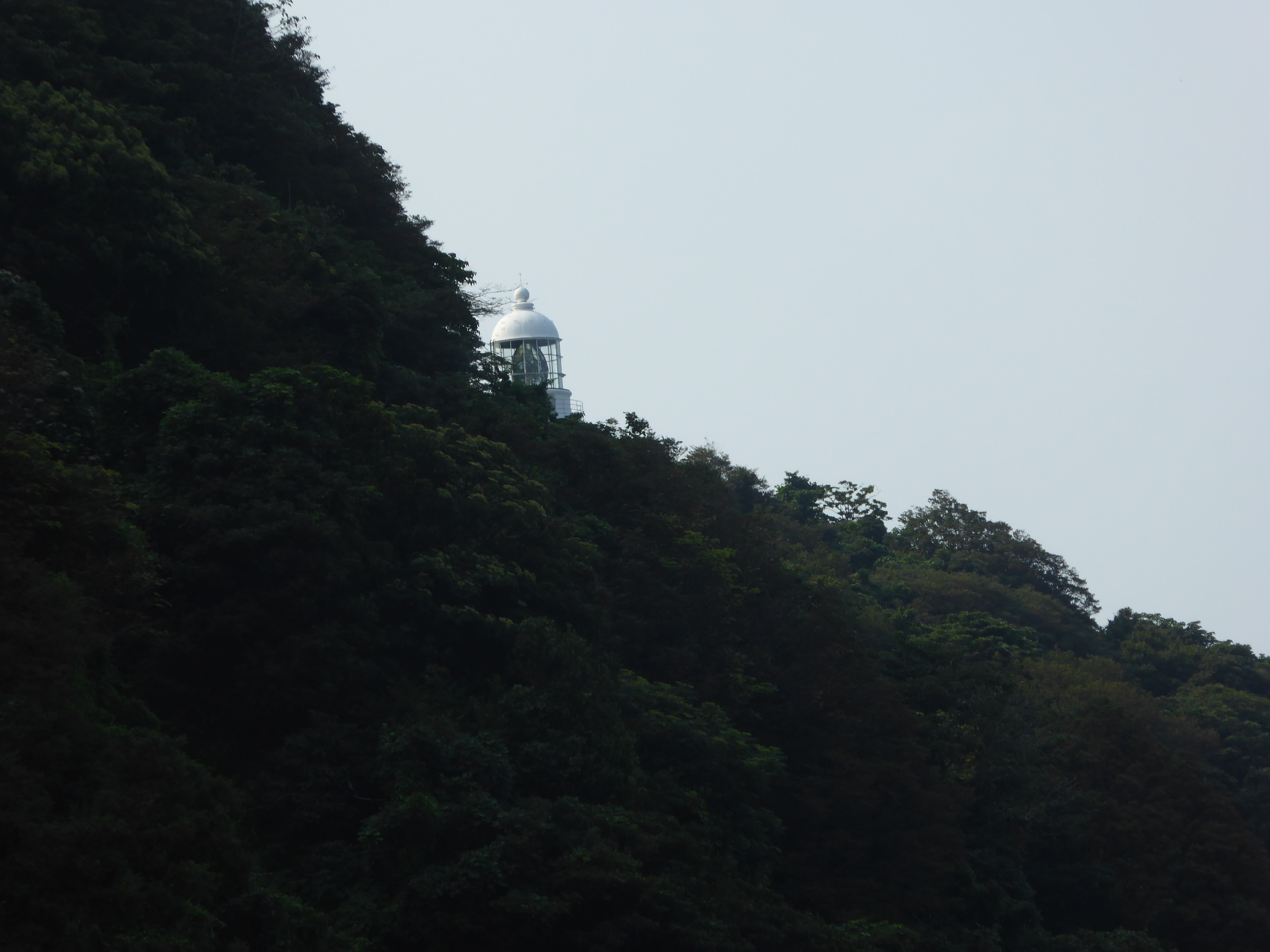 P1030492.JPG