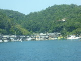 img0011.jpg