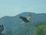img0012.jpg