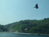 img0014.jpg