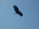 img0015.jpg