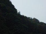 img0025.jpg