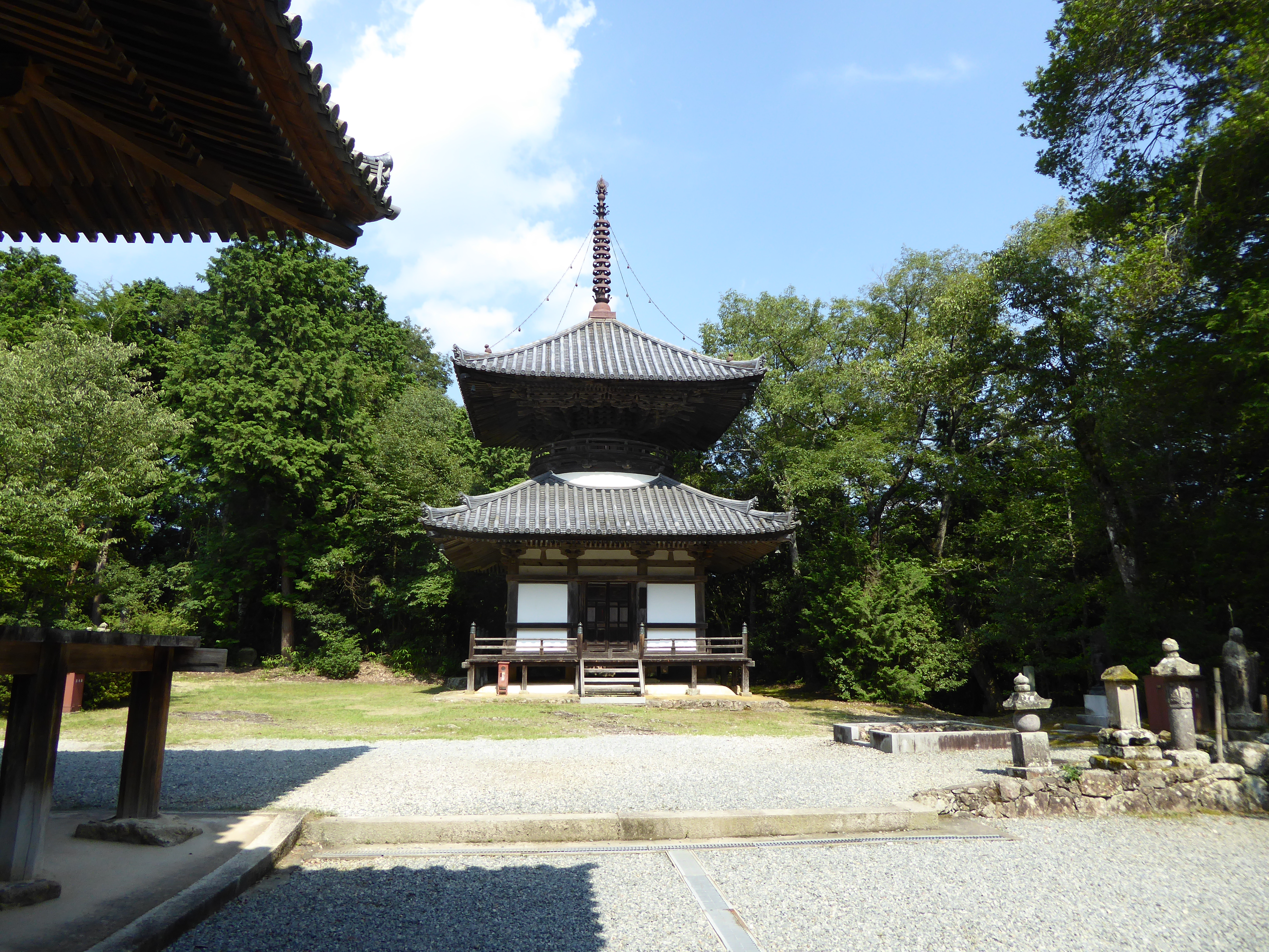 P1030524.JPG