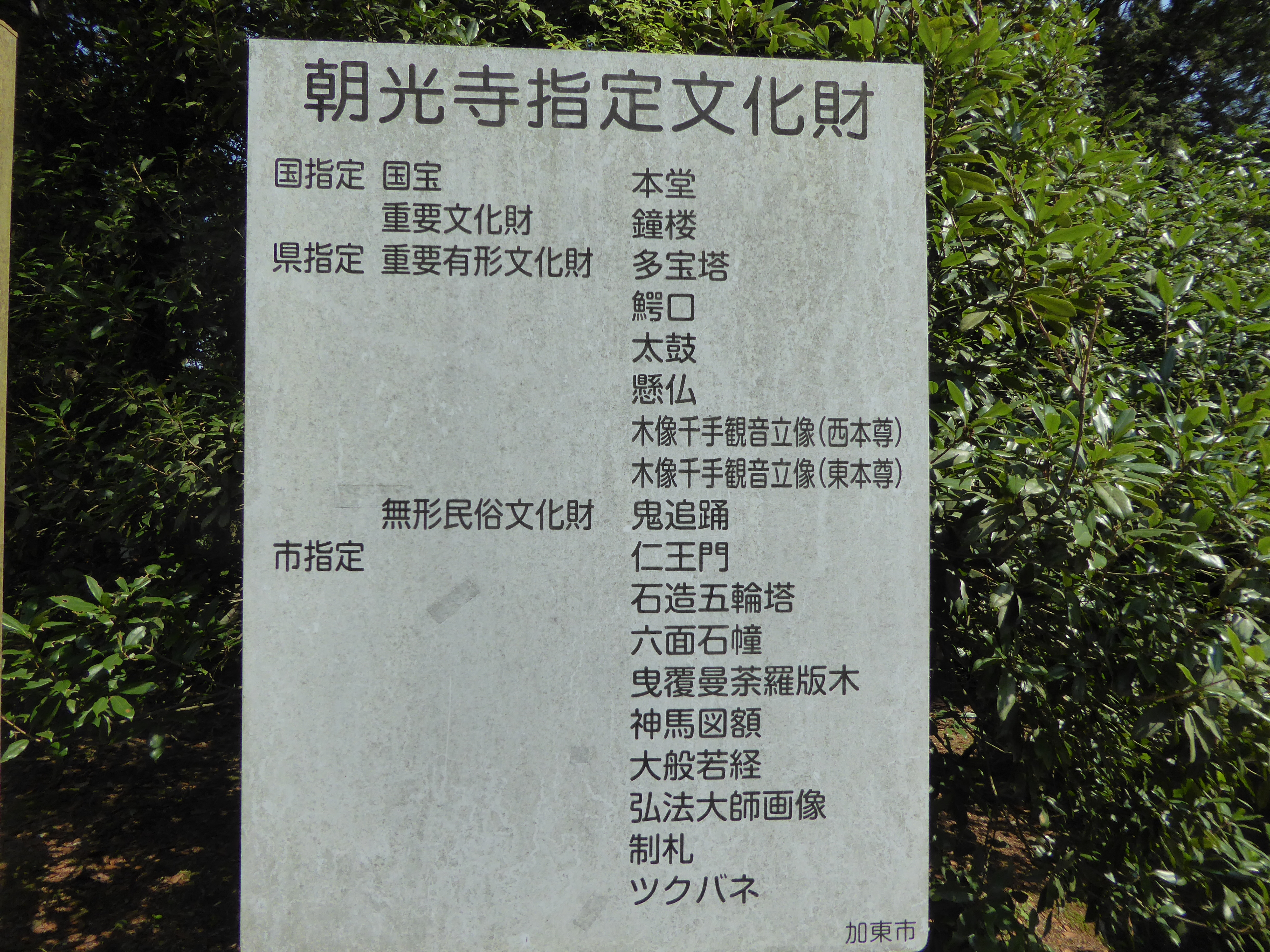 P1030533.JPG