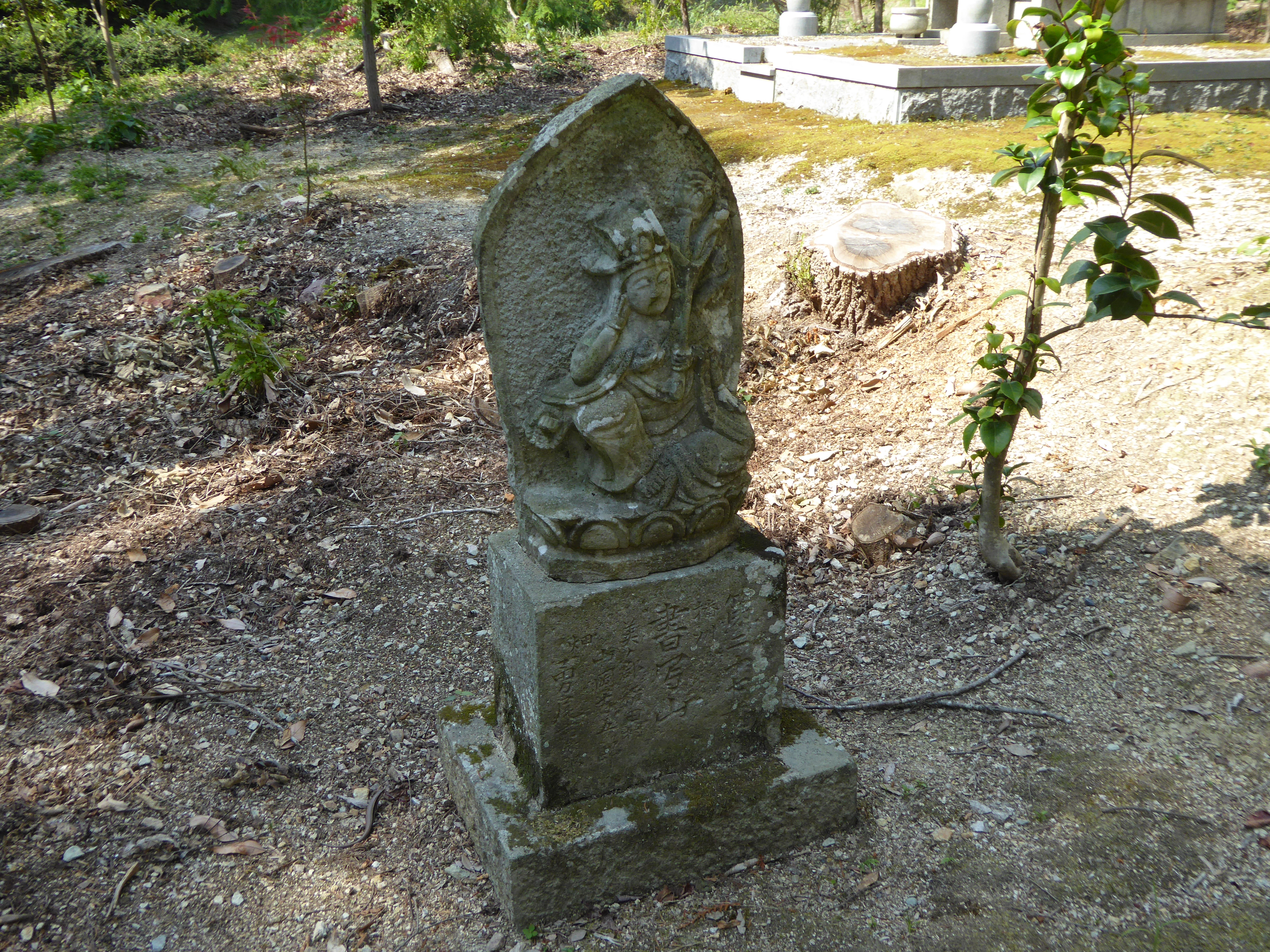 P1030539.JPG