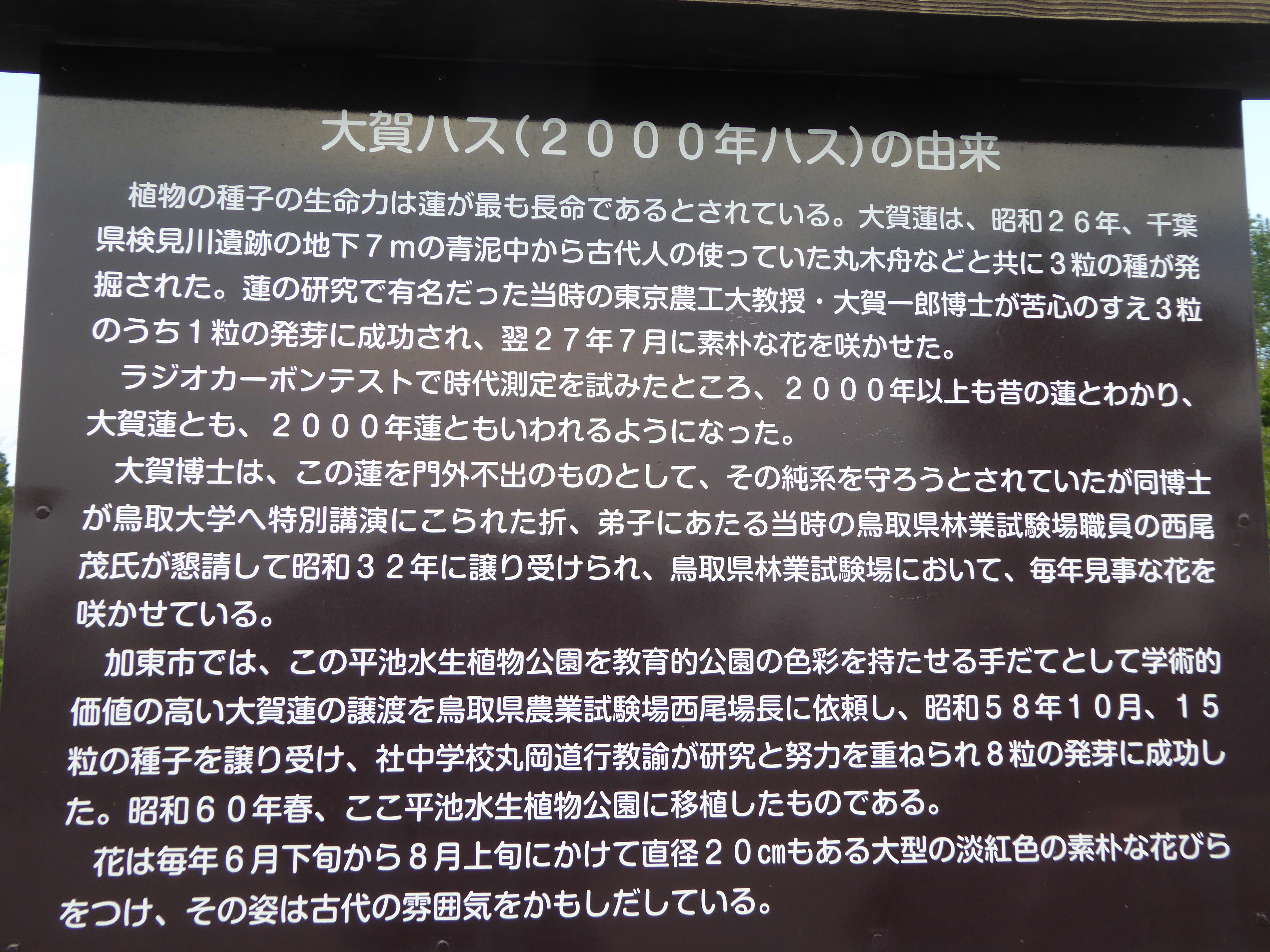 P1030545.JPG