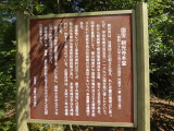 img0010.jpg