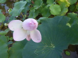 img0020.jpg