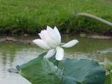 img0024.jpg