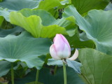 img0025.jpg