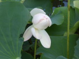 img0026.jpg