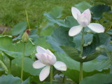 img0027.jpg