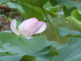 img0028.jpg