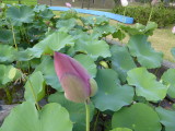 img0029.jpg