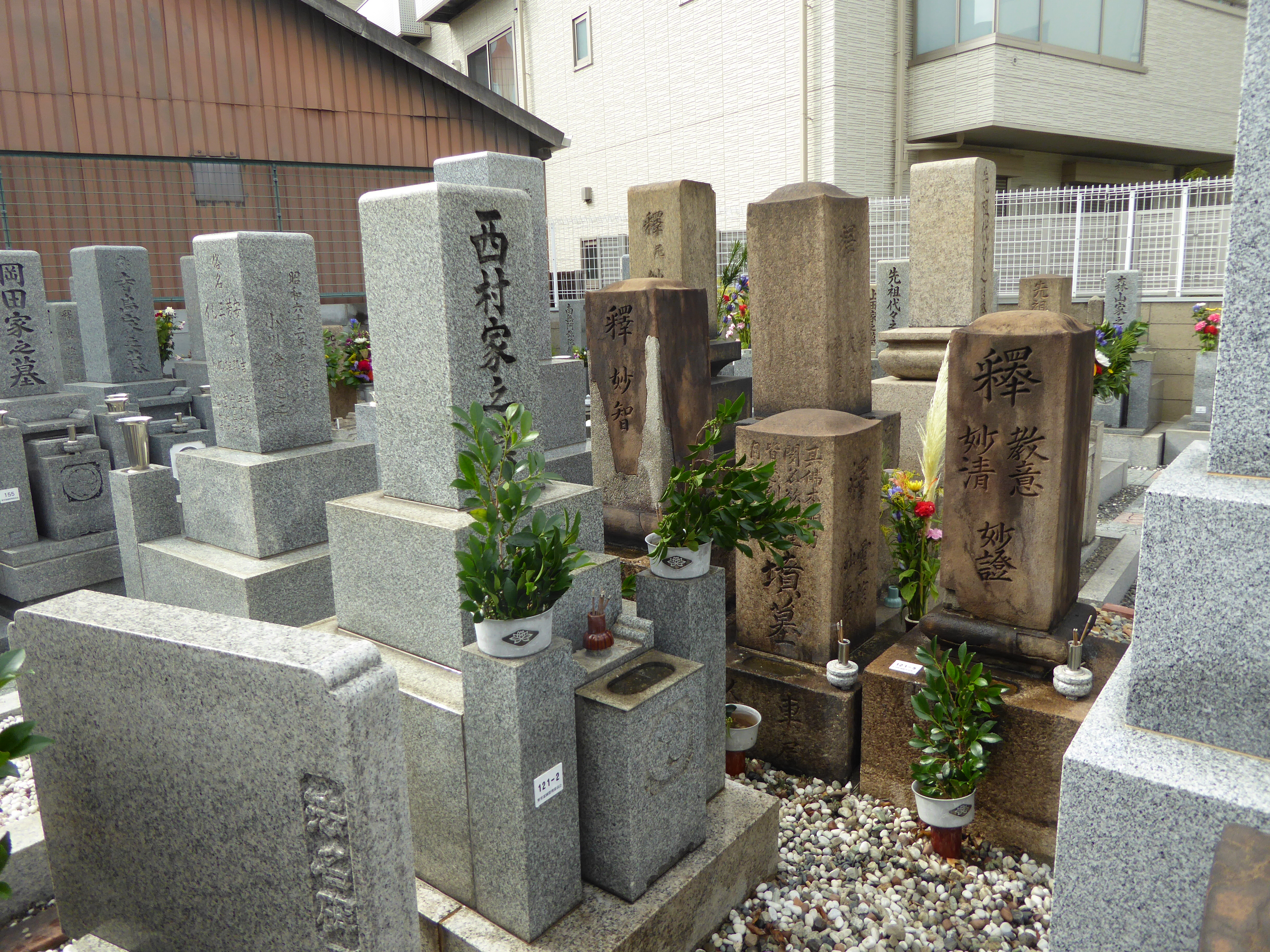 P1030556.JPG