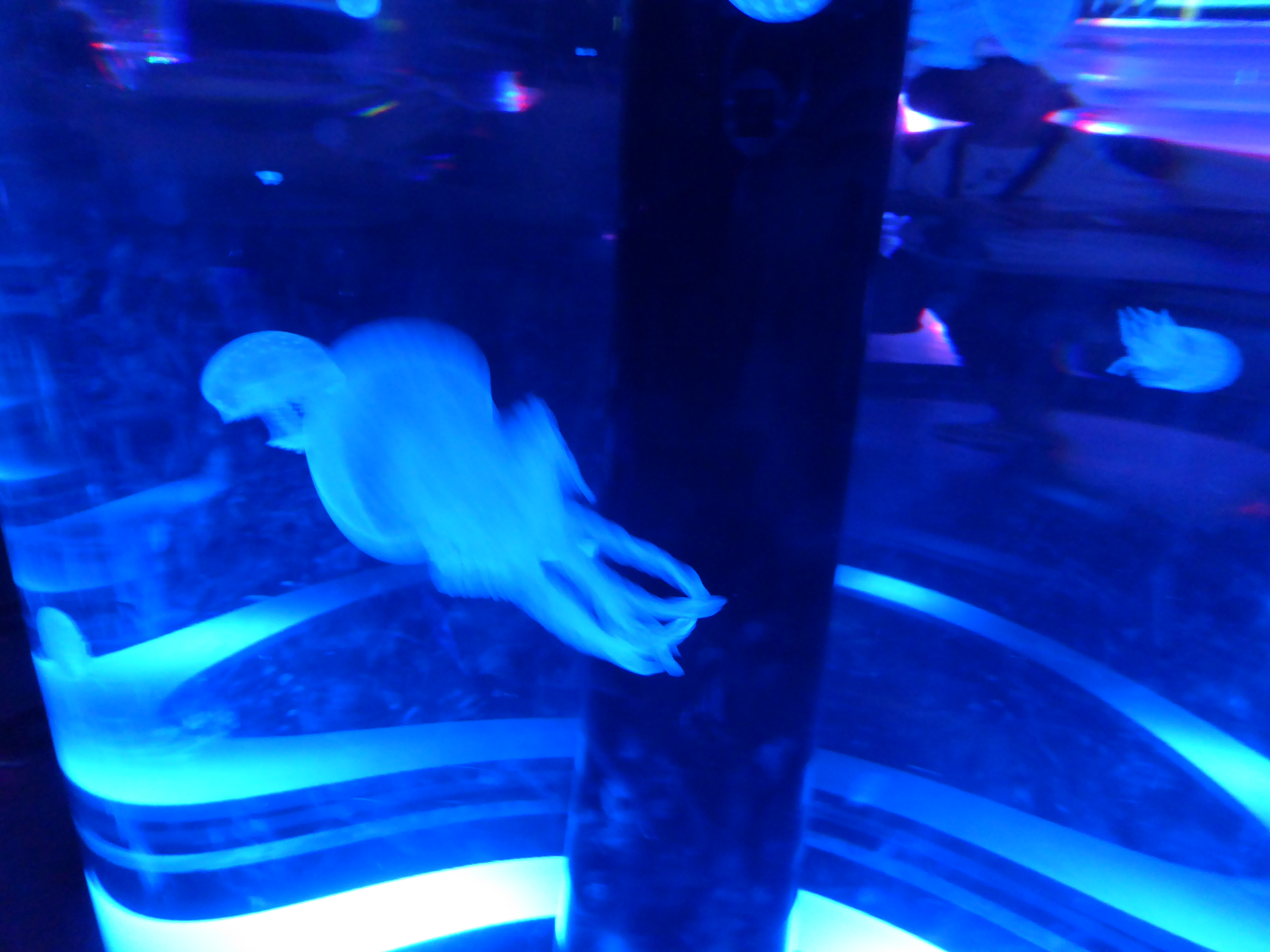 P1030590.JPG