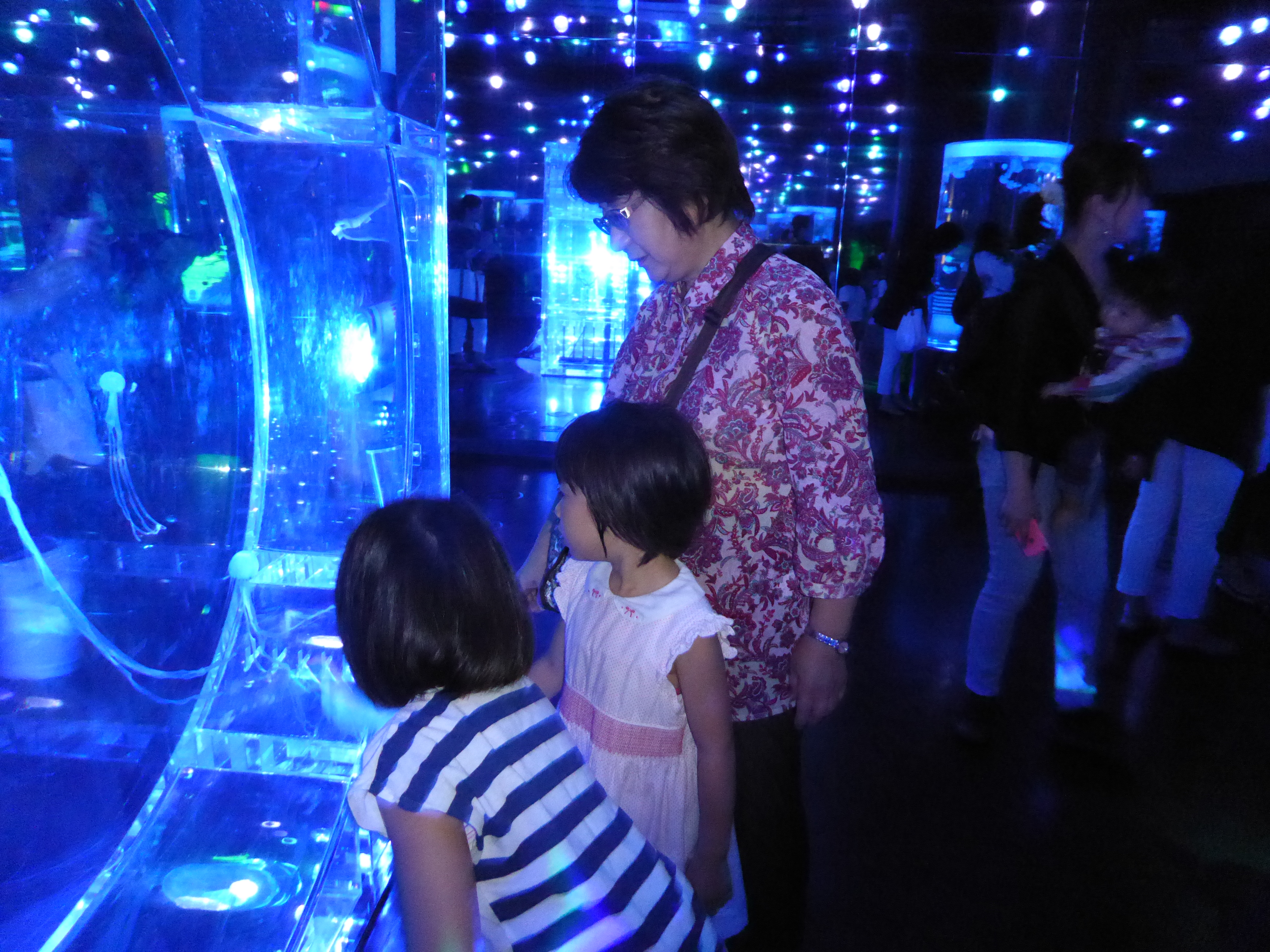P1030594.JPG