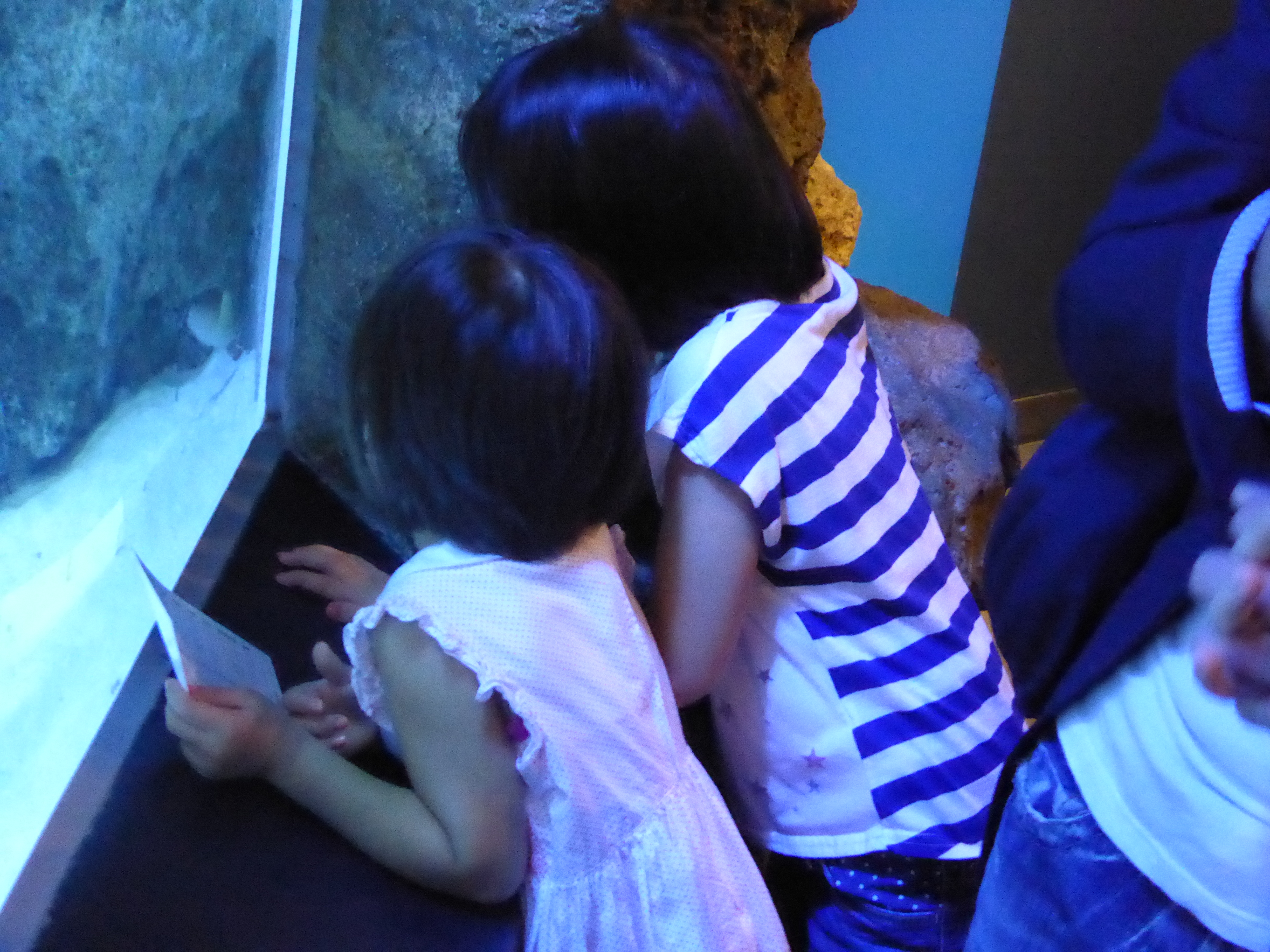 P1030601.JPG