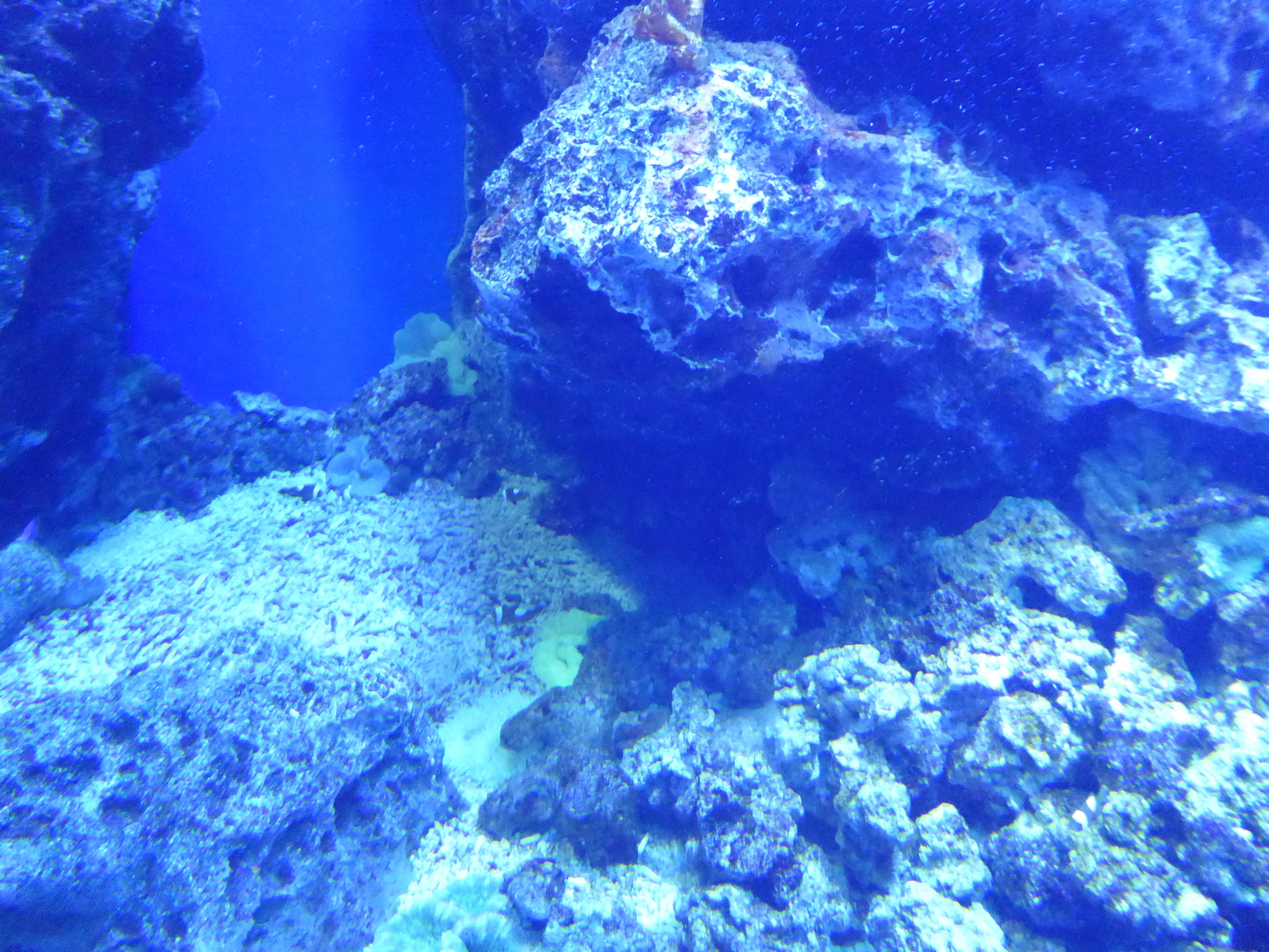 P1030604.JPG