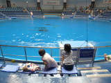 img0003.jpg