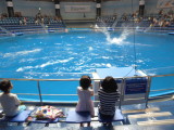 img0004.jpg