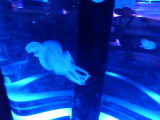 img0011.jpg