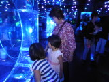 img0014.jpg
